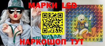 стафф Будённовск