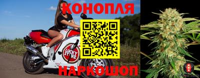 кокс Аргун