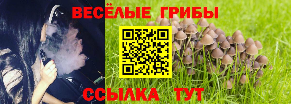 Псилоцибиновые грибы MAGIC MUSHROOMS Богданович