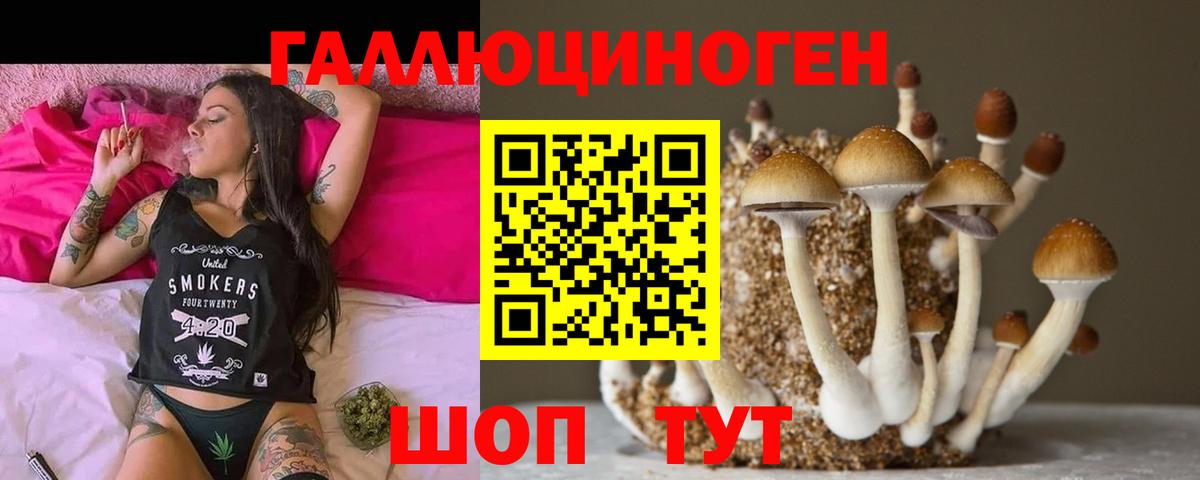 Псилоцибиновые грибы прущие грибы  Вход с VPN  Псилоцибиновые грибы Magic Shrooms  Богданович 